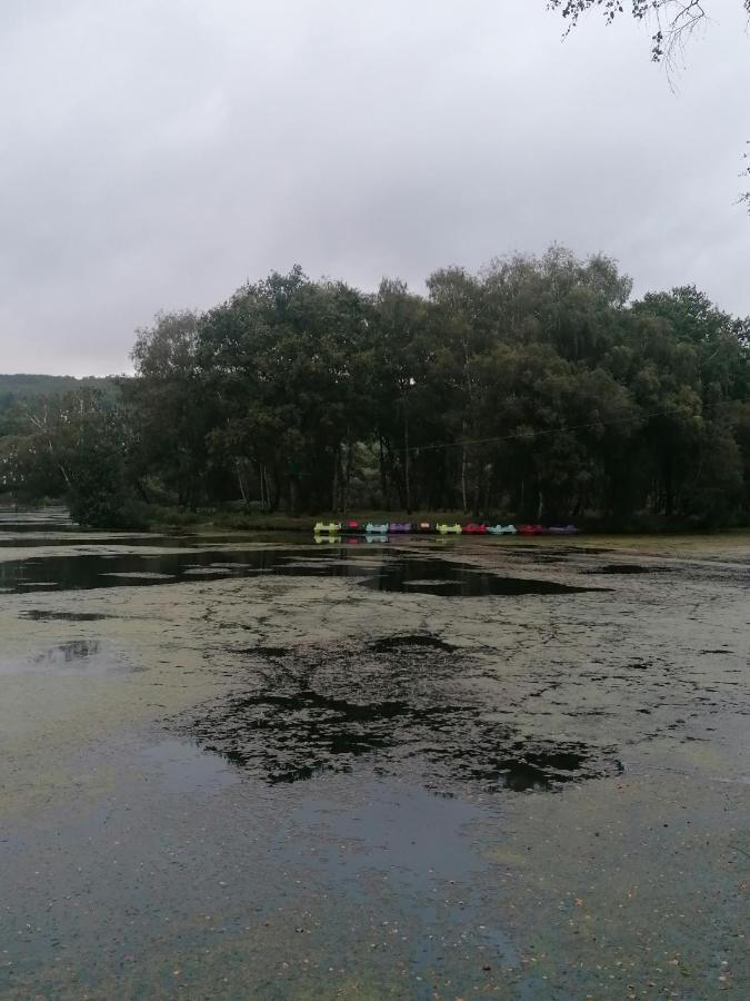 Les Gites De L'Etang De La Foret Brandivy Ngoại thất bức ảnh